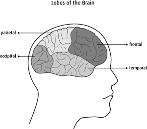 Brain spine surgeon in Aurangabad Dr. Ganesh Rajput